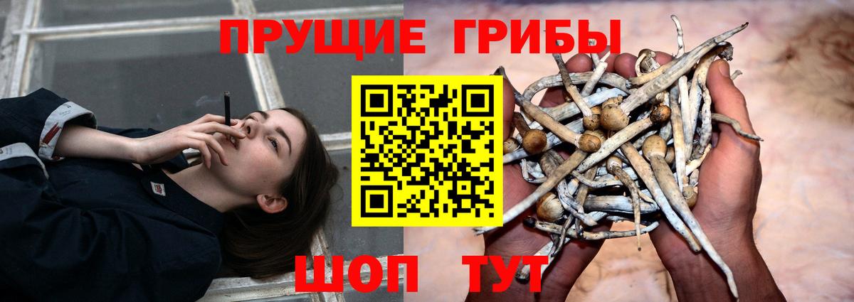 Экстази  Каннабис  COCAIN  A PVP СОЛЬ   Мефедрон   Вход с VPN  Киров  ГАШ 